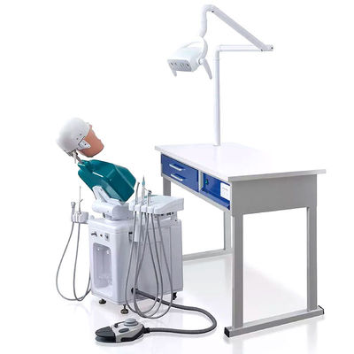 Bộ mô phỏng nha khoa thực tế OEM Phantom Head A1 A3 A15 dành cho sinh viên