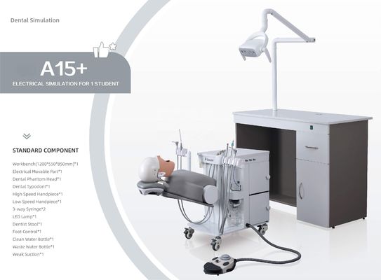 Bộ mô phỏng nha khoa thực tế OEM Phantom Head A1 A3 A15 dành cho sinh viên