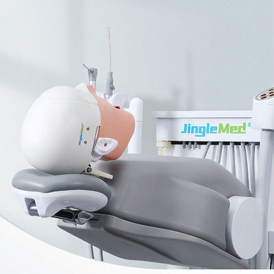 Trường đại học Phantom Head Nha khoa Simulator Bền cho Nha khoa