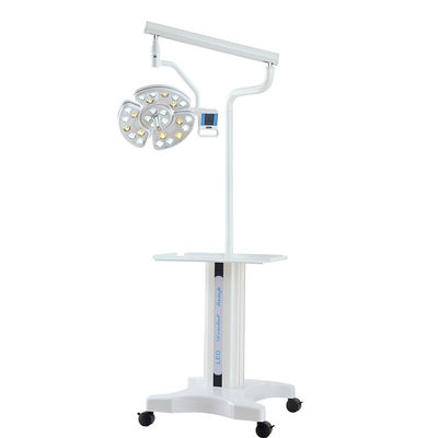 Bệnh viện thú y không bóng LED trần gắn đèn cấy ghép răng
