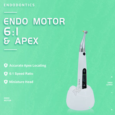 Động cơ Endo 6: 1 Với động cơ điện Apex cho điều trị Endo Động cơ Endo nha khoa