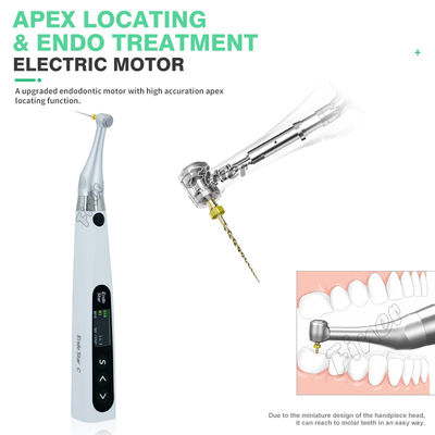 Động cơ Endo 6: 1 Với động cơ điện Apex cho điều trị Endo Động cơ Endo nha khoa